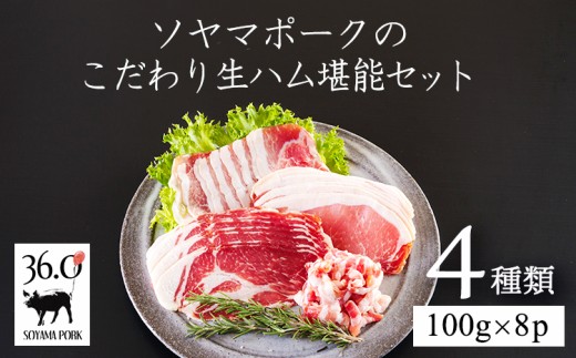 y{茧z@\}|[N̐n\Zbg[[X o  p`Fb^ [X n ܂ p[eB[]TF864-P00078