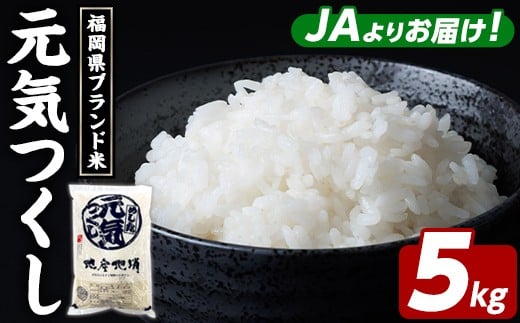 yzuh C (5kg)   R   񂫂  ͂  Y uh 퉷 퉷ۑ ɂ ނ ٓ y_Y