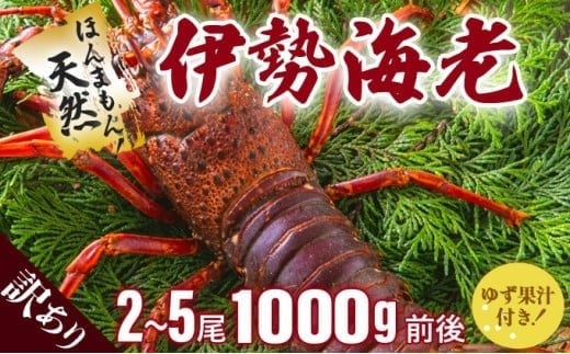 ymmz󂠂 YɐCV1,000gyⓀz Y mY VR VN CN 䂸ʏ`t hg Ă {C l  j LO 蕨   S215