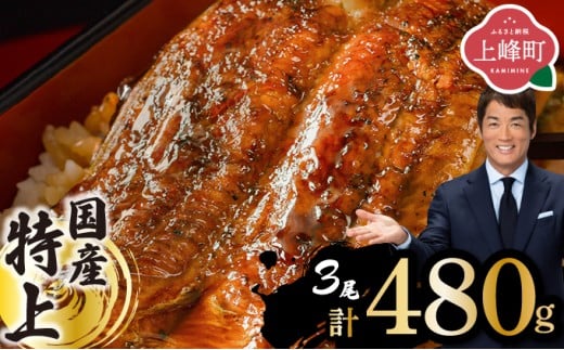 yꌧzyzIׂzwYxȂ 3 v480g [B-1125-PE]