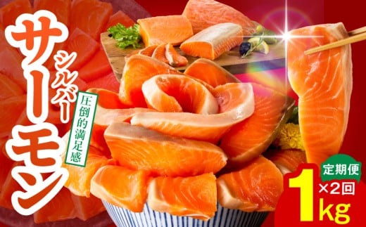 y{򍲖szT[  1kg×S2y|[V 󂠂 TCYs hg CN [ T_ Jpb`   VP Ⴏ lC  Ⓚ ƌvz