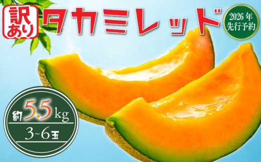 ytszy 2026N s\ z 󂠂  ԓ 5.5kg ȏ (2`6L) (3`6) ʕ  t[c ^J~bh ߂ meron Mbh fU[g x   lC { 