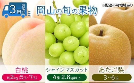 yRsz[5615-0637]t[c  y2026N s\z  Ԃǂ  3񂨓͂  2kg(5ʁ`7) VC}XJbg 4[2.8kgȏ  (3`6)  RY Y Zbg M