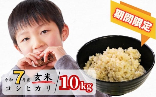 yRqzsԌt 10kg ߘa7NY RVqJ R 킭猹 K-ac-AEGA