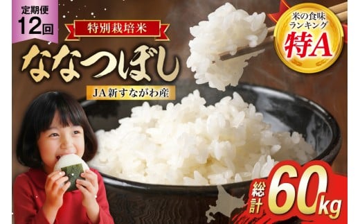 ykCsz12  JAVȂY ͕ĂȂȂڂ 5kg×12 v60kg [zN kC s 12260800]   R  ͂  Y r[Ly[