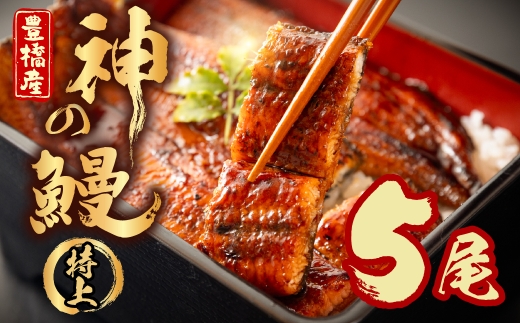 ymLszy1͂zȂ̐VuhAJBw_̉Vx5 Y  Iׂ ͂ V Ȃ unagi EiM   YȂ   N͂ N N