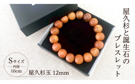 yvzv12mmʃuXbgy16cm (S)z