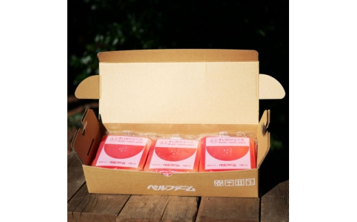 y錧zxt@[̗ⓀW[X Y100% 100g×15 Ezsy1691757z