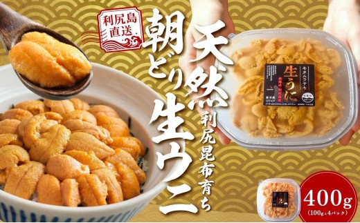 ykCKzy2026NtzKYuǂv400g (100g×4) VRL^TLEjy6~8zbkC l VR   Y ~Eosgp [1090032]