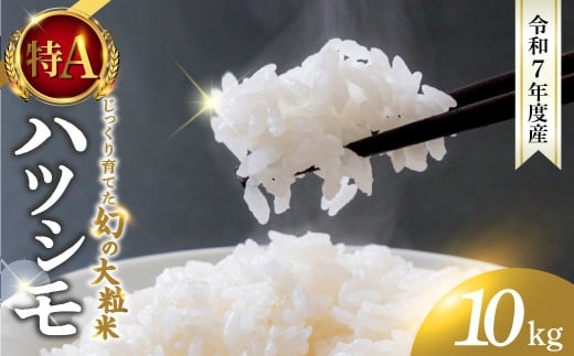 y򕌌_szVāߘa7NxY  ncV 10kg ?̓s_̖LxȗNň ? V ͂   lC  Z Z  RVqJ ̐y  TTj