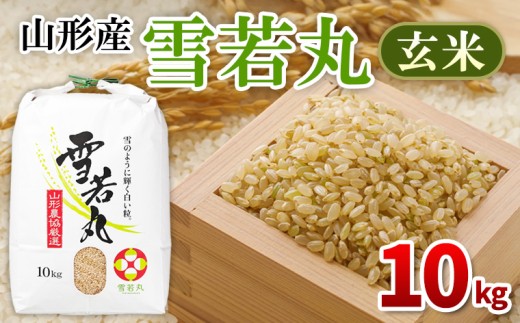 yR`R`szR`Y   10kg FY25-436