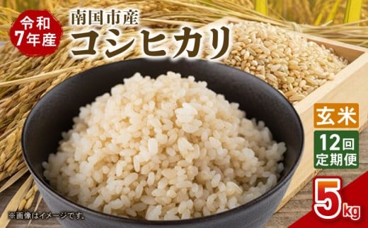 ym썑szy12ցzߘa7Nx 썑sY RVqJ  5s | V ʌ  R   ɂ  ٓ m 썑s