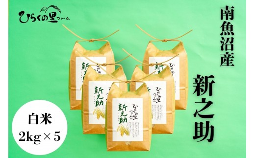 yV싛szyR7NYz 싛YVV 2kg×5 ߂嗱I Ђ炭̗t@[