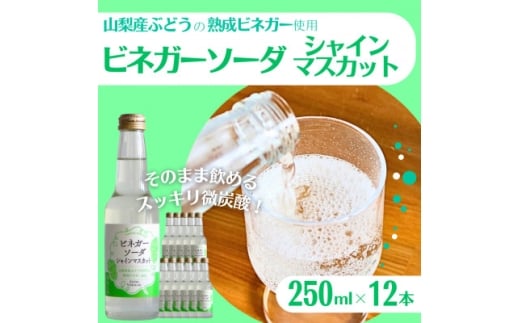 yRRszRYԂǂ100%̏nrlK[́Â܂܈߂urlK[\[_VC}XJbg12{Zbgvy1658113z