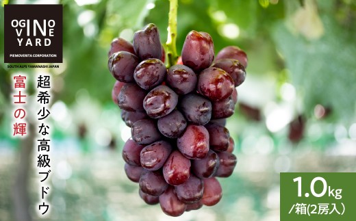 �y�R������A���v�X�s�z�Q�O�Q�U�N�H���n��s�\�� �R�����Y �x�m�̋P�P�D�O�����^�� �Q�[�� ALPAK019