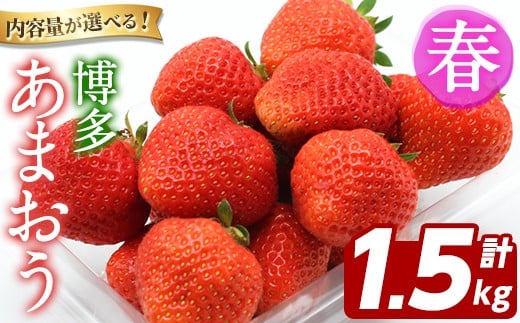 yzs\tI2026N2{ȍ~\聄 ܂stt (v1.5kgE250g`270g×6pbN)  C`S  Xgx[ ʕ t[c  fU[g ①