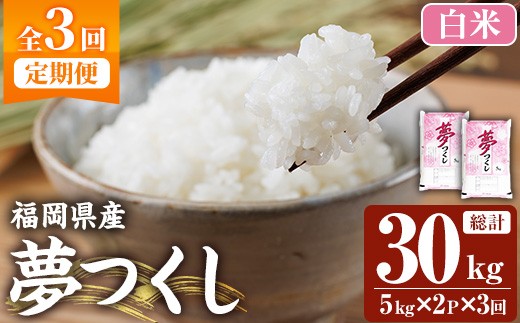 yzߘa7NYVāy3ցEāzyHӒmIzY (v30kgE5kg×2×3)     ͂ ߂  퉷 Y uh