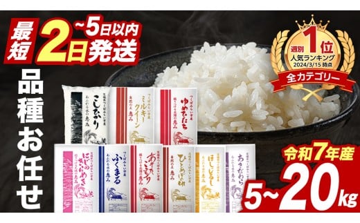 y錧΂݂炢szi킨܂ 5kg 10kg 15kg 錧΂݂炢sY  Ђ RVqJ ܂ ЂƂ߂ڂ ӂ܂ ߂Ђ ~L[NC[ ɂ̂߂