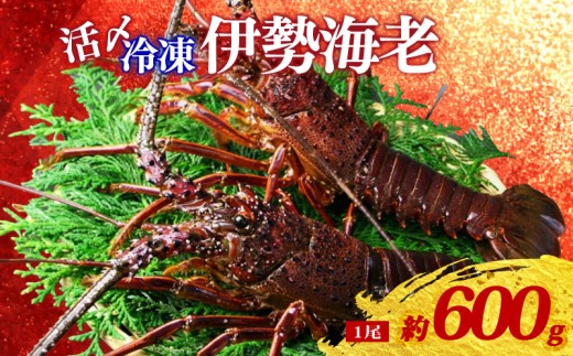 yOdɐziⓀj ɐCV 1  600g Y R  CV ebi  ɐ ɐ   CN CY C Yi ܖ | C̍K AEghA BBQ hg YΏ X` Yn