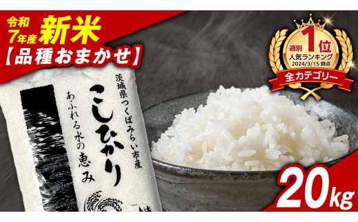 y錧΂݂炢szy12oׁzi킨܂ 20kg 錧΂݂炢sY  Ђ RVqJ ܂ ЂƂ߂ڂ ӂ܂ ߂Ђ ~L[NC[ ɂ