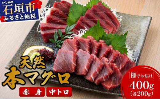 yꌧΊ_szyʌzΊ_Y VR{}O Ԑg & g 400g GXC }OD 2025N6{蔭 | Yn g Ƃ Y ܂  VR Ԑg  hg {