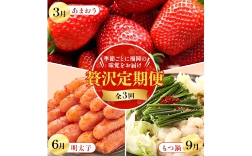 yszŒցG߂Ƃɕ̖o͂!܂EqEґ֑S3y4014670z