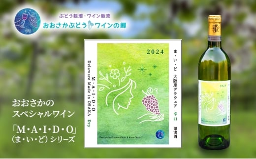 y{szMEAEIEDEOi܁EEǁj YfEFA hi2024jGWSAA