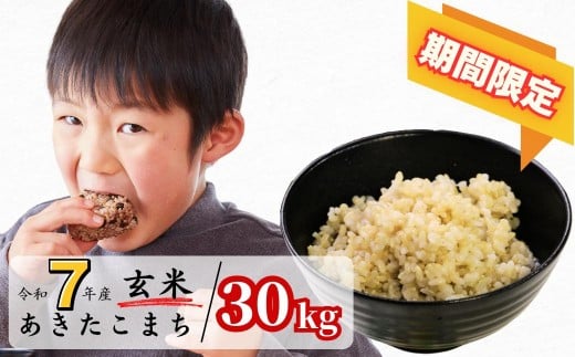 yRqzsԌt 30kg ߘa7NY ܂ R 킭猹 K-bd-AEGA