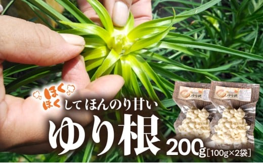 ysz2351 ققĂق̂Â荪 200gi100g×2܁j@KN082-001-02