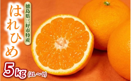 みかん はれひめ 5kg 解禁 蜜柑 柑橘 ミカン 国産 数量限定 特産品