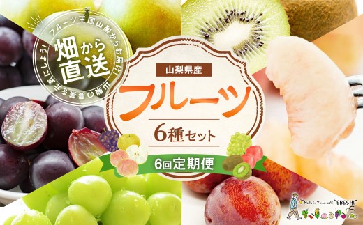 先行受付】【6回定期便】 フルーツ王国 山梨県産 6種セット ／ えべし