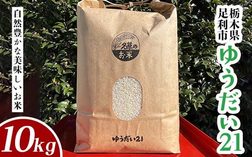 令和7年産 新米 栃木県足利市産 ゆうだい21 10kg〈5kg×2袋〉 精米 白米 