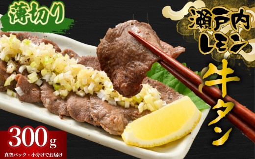 yL|szy؂z^ ˓ 300g 쐸X̋^ | ؂ ؂  ^  󂠂 t TCYs ē BBQ ʌ ^pbN 