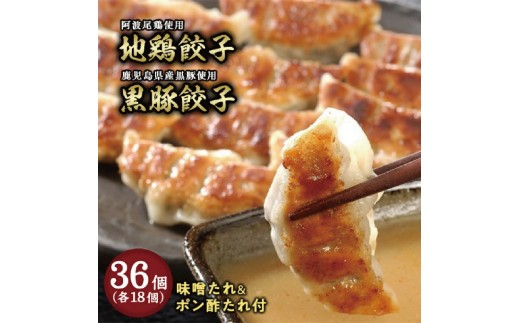 yɌsz ɓސuLqEn{Lqve1܃Zbg (t)y傤 M[U  _S y ȒP   ܂ Y ؓ Yؓ { n{ 