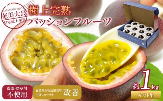 y˓z2026Nsty_Eܕsgpz哇Y㊮npbVt[cPkg