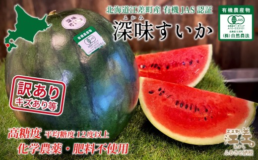 ykC]zy2026N8{Jnzy󂠂zkCY  [   5.5kgȏ 1  L@_YiJASF؁j@x@w_sgp@I[KjbN@L@_Ɓ@XCJ@