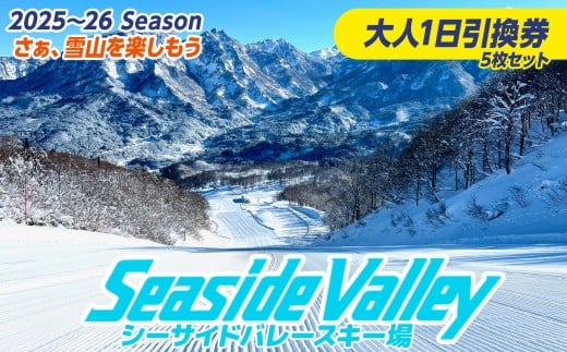 yVszV[TCho[XL[ P TZbg (l)ssityV s V[TCho[ XL[ Xm[{[h `Pbg tg  ӂ邳ƃ`