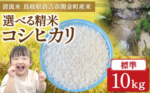 y挧qgszRVqJ 10kgiWjߘa7NY V    R Ђ RVqJ  ͂ 挧 qgsY