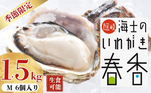 yCmzs\tFy2026N 3ȍ~͂zŷ킪t@MTCY6z≲y y y 킪t H {̎