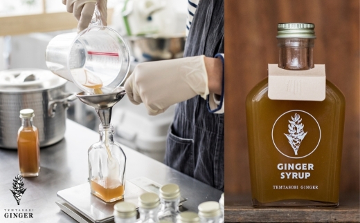 ymLszNtgWW[Vbvyx[VbNz TEMTASOBIGINGER WW[Vbv IVbv 傤hN Vbv YVbv WW[G[ YI