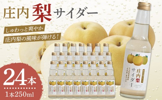 y啪RzszTC_[ 250ml×24{