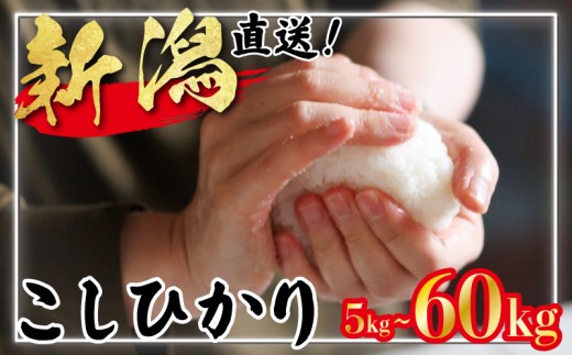 yVVcszߘa7NY VY RVqJ 5s`60kg Pi  V VY V VcY Vc   ăRVqJ 5kg 10kg15kg 30kg 60kg 3 6  ʌ