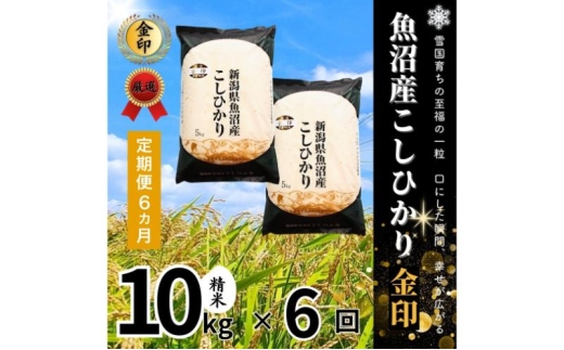 yV\szy֑S6񖈌zYRVqJ()10kg  Ђ  V s