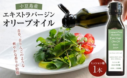 y쌧zs\ WFC̃I[uICs~bVt105g×1{ iȈՕj Rpj[jt@[Y GLXgo[WIC  2025NHn 100Y E