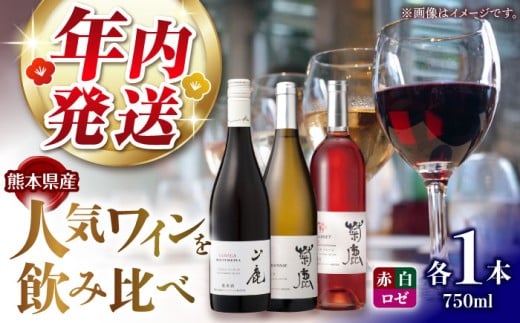 yF{RszyN1221܂ŁIzeVhl&eJxlN[2023&R}XJbgx[[A2024 C3{Zbg ϔtyeCi[z [ZFB007]