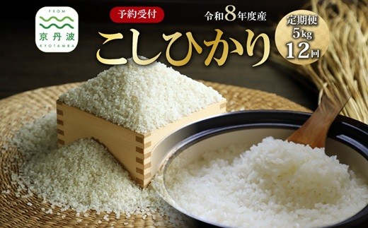 ys{Ogzy12ցzs s\ t Ђ OgY 5kg 12J v60kg ߘa8NY   s Og RVqJ Al Yn kCEkEE