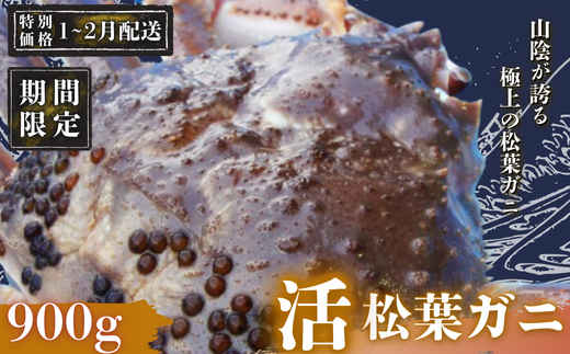 ymzyԌzI1`2]̕ցIztKj 900gqr}coKj ~̏{Bґ̋ɂ݂ƒŏtJj }coJj Jj I VN { v[g ^ j