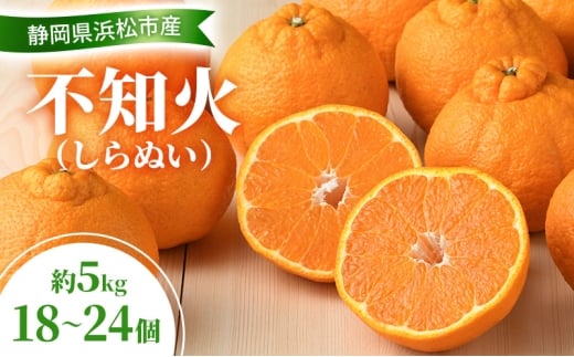 yÉlszy2026N3ȍ~z sm 5kg 18`24  ʂ fR 񂫂 k ݂ ~J  t[c É ls [5360-0913]