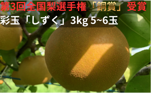 yʌszy2026N s\zAt@Cmx[VЁ@ʋʁ@3kg 5~6ʁ@uv@y11246-0364zSI茠@܎