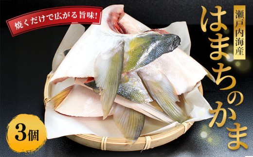 y쌧ۋTsz˓CY VR ͂܂ n}` 3 VN  {ނ ނ C CY C̍K  y Ă ϕt ؐg lC Y J} ͂܂ N ؂g ˓C   